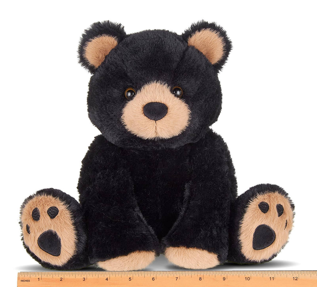Rocky the Black Bear