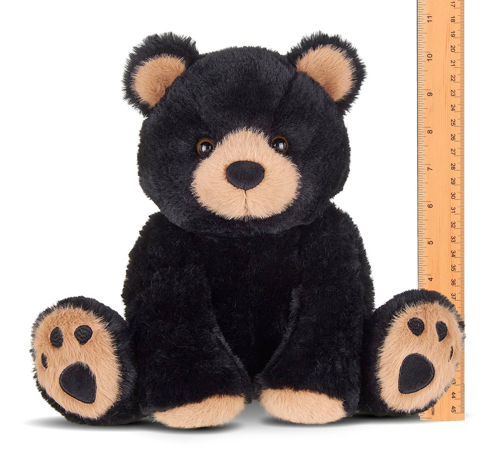 Rocky the Black Bear